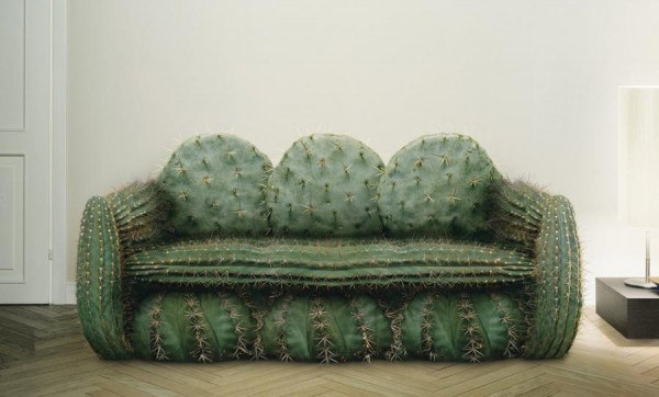 cactus-sofa-600x362